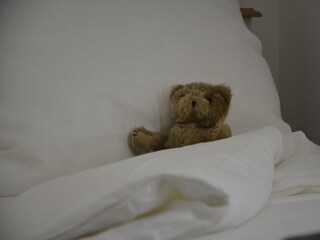 Maison de vacances Olpenitz Équipement 20