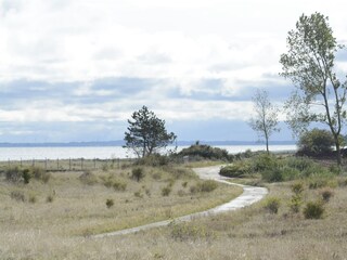 Casa per le vacanze Olpenitz Ambiente 20