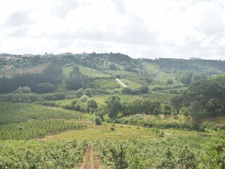 Villa Óbidos Ambiente 35