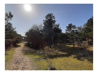 Appartamento per vacanze Egmond aan Zee Ambiente 30