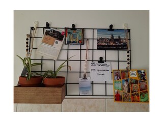 Vakantieappartement Egmond aan Zee Kenmerken 13