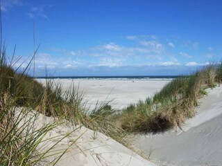 Vakantieappartement Egmond aan Zee Omgeving 23