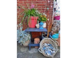 Holiday apartment Egmond aan Zee Outdoor Recording 6