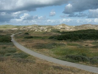 Vakantieappartement Egmond aan Zee Omgeving 21