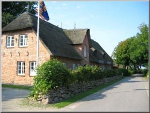 Ferienhaus Objekt 41 - Borgsum - image1