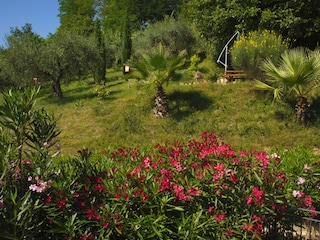 Appartamento per vacanze Ripatransone Ambiente 15