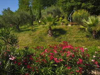 View from the terrace