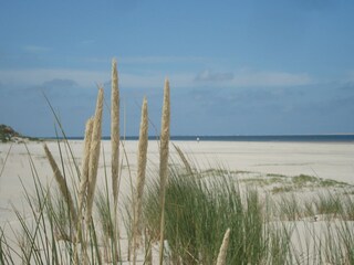 Strand am Ostland