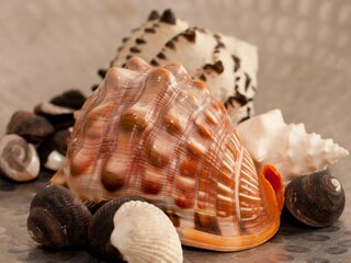 Casa per le vacanze Carolinensiel Caratteristiche 18