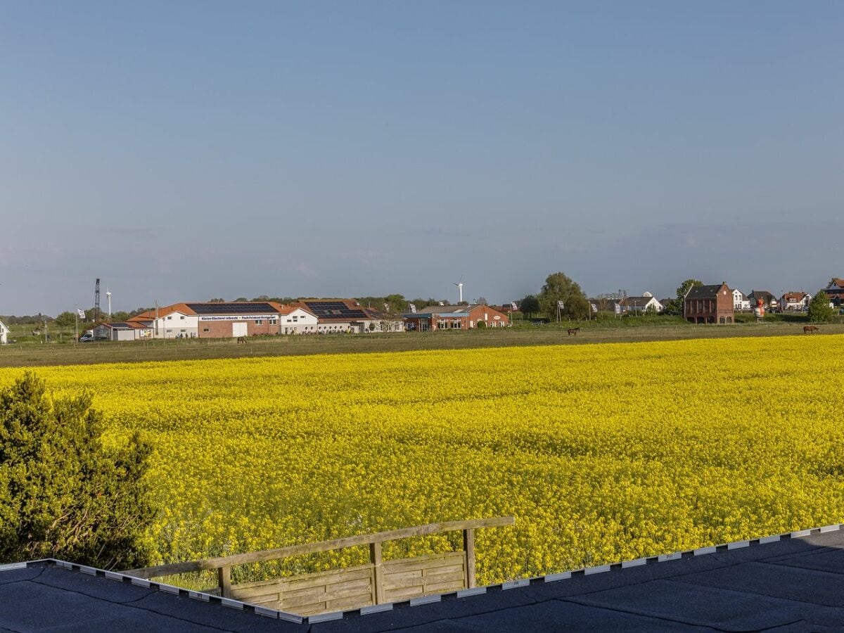 Ferienhaus Harlesiel Außenaufnahme 12