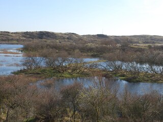 Casa per le vacanze Egmond aan Zee Ambiente 20