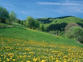 Ferienhaus Bestwig Umgebung 21
