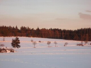 Vakantiehuis Willingen Omgeving 35