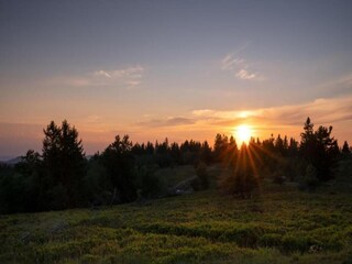Casa per le vacanze Willingen Ambiente 39