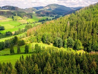 Vakantiehuis Willingen Omgeving 36