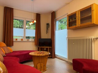 Casa per le vacanze Willingen Caratteristiche 21