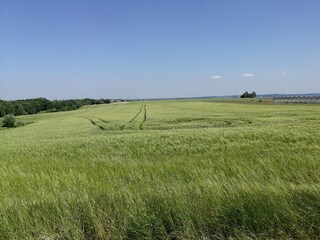Blick zum Zschonergrund