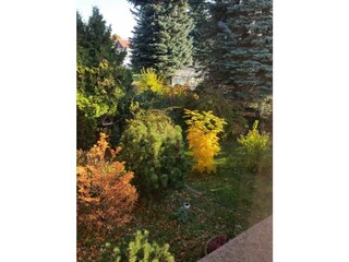Im Garten