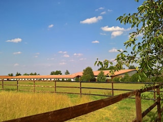 Umgebung der Wohnung