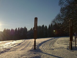 cross-country ski-run Braunlager Loipe