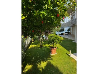 Holiday apartment Torri del Benaco Outdoor Recording 11
