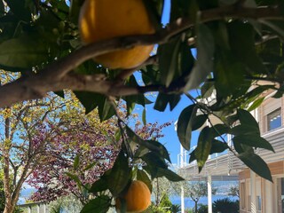 Appartamento per vacanze Torri del Benaco Registrazione all'aperto 9