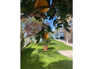 Ferienwohnung Torri del Benaco Außenaufnahme 10