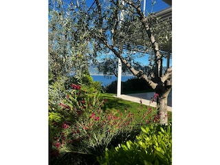 Ferienwohnung Torri del Benaco Außenaufnahme 15