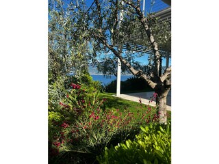 Holiday apartment Torri del Benaco Outdoor Recording 15