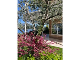 Ferienwohnung Torri del Benaco Außenaufnahme 19