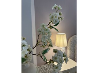 Ferienwohnung Torri del Benaco Außenaufnahme 28