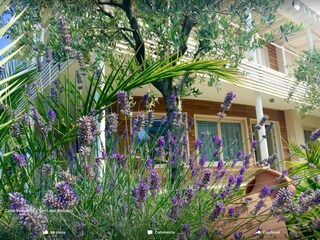 Appartamento per vacanze Torri del Benaco Registrazione all'aperto 5