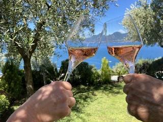 Ferienwohnung Torri del Benaco Außenaufnahme 6