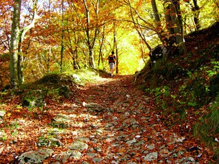 Appartamento per vacanze Torri del Benaco Ambiente 39
