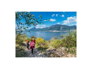 Appartamento per vacanze Torri del Benaco Ambiente 40