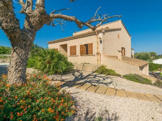 Finca Vilafranca de Bonany Grabación al aire libre 15