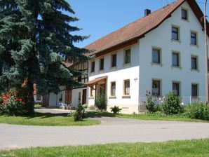 Ferienwohnung "Carina" im Ferienhaus Troll - Friedrichshafen - image1