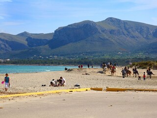 Reiten am Strand in der Nähe