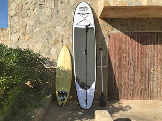 SUP & Surf boards for rend