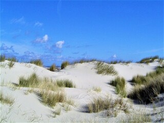 Dünen am Loog-Strand