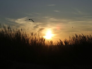 Sonnenuntergang