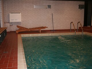 Schwimmbad mit Gegenstromanlage