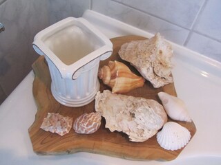 Appartamento per vacanze Bakkum Caratteristiche 8