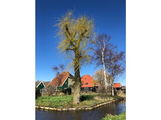 Appartamento per vacanze Bakkum Ambiente 20