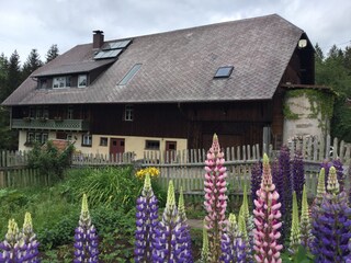 Farmhouse St. Georgen im Schwarzwald Outdoor Recording 2