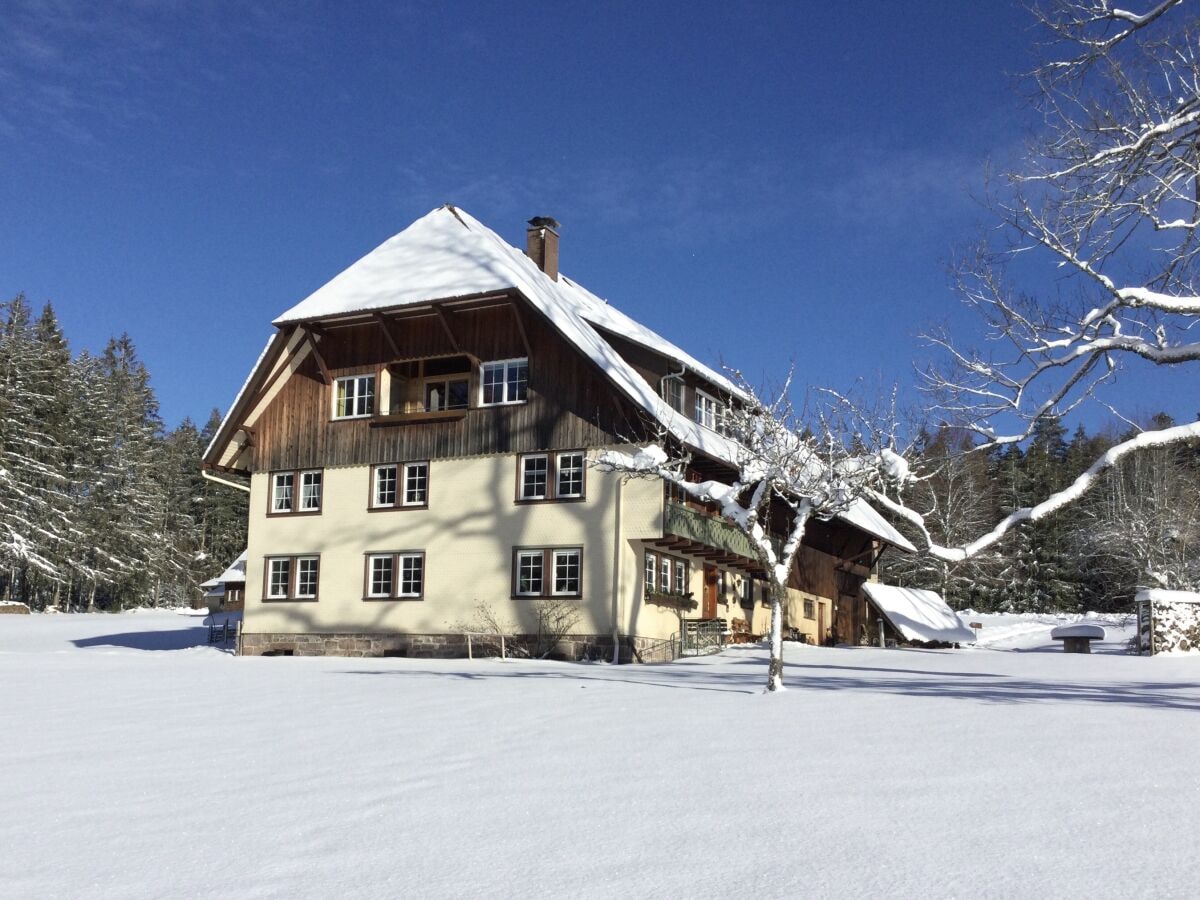 vacation apartment on the top floor