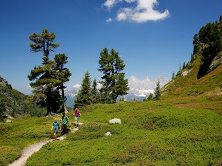 Casa per le vacanze Haus im Ennstal Ambiente 18