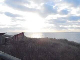 Syltimpressionen