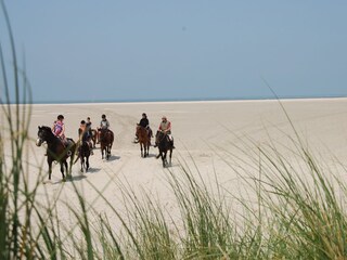 In einem Galopp am Strand