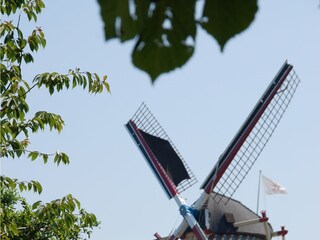 Pfannenkuchen molen.